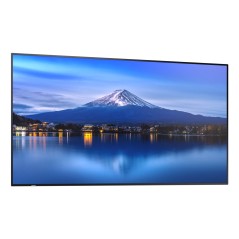 Sharp P506, 50" P-Series LFD, UHD